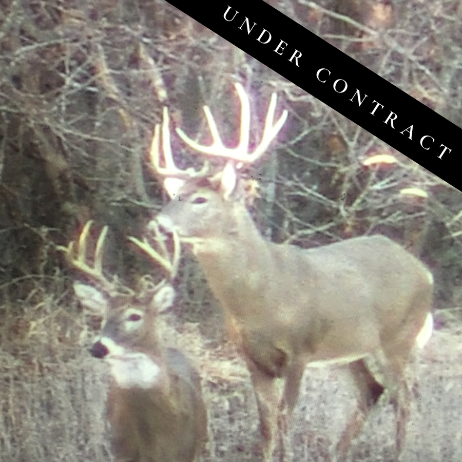 Prime Hunting and Recreational Property in Randolph County, MO – 162 m/l Acres of Excellence